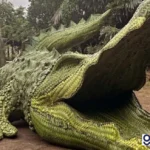 anyaman daun Lacoste Bali