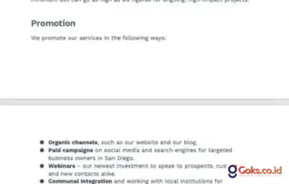 marketing plan guideline