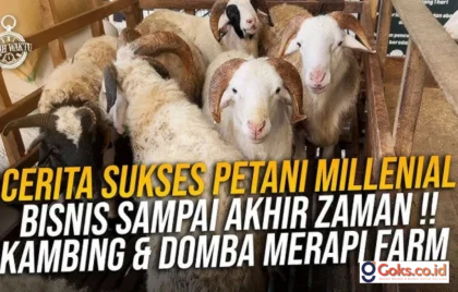 strategi bisnis petani lokal